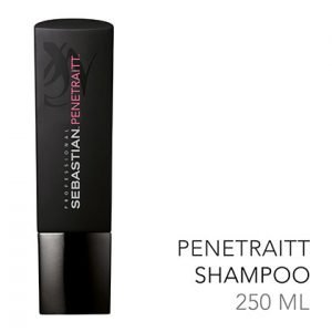 Sebastian Penetraitt Shampoo 250ml